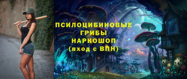 индика Михайловка