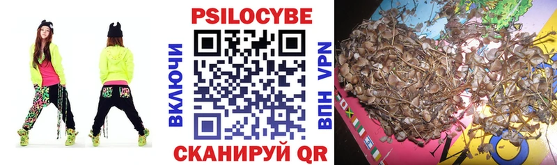 Галлюциногенные грибы Psilocybe  Новый Оскол 