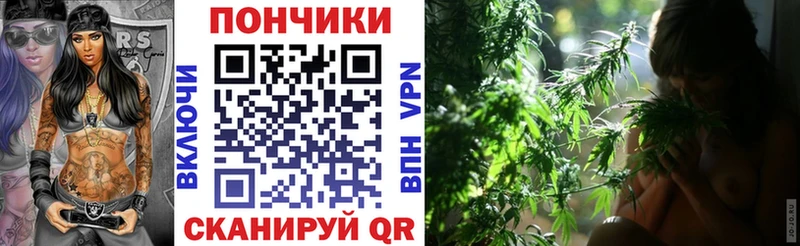 darknet состав Новый Оскол Бошки марихуана ГИДРОПОН